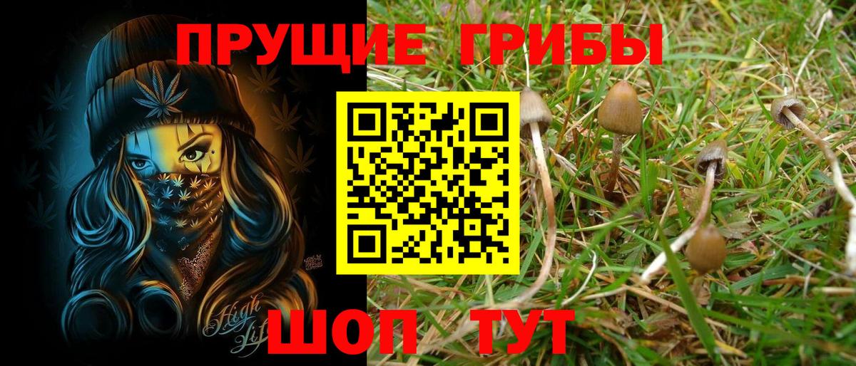 Астрахань  Галлюциногенные грибы Magic Shrooms  Вход с VPN 